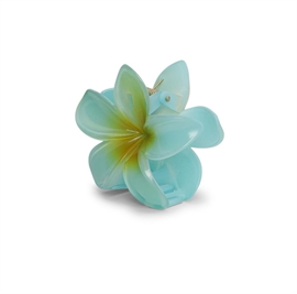 Sui Ava Plumeria Bisou Big - Blue